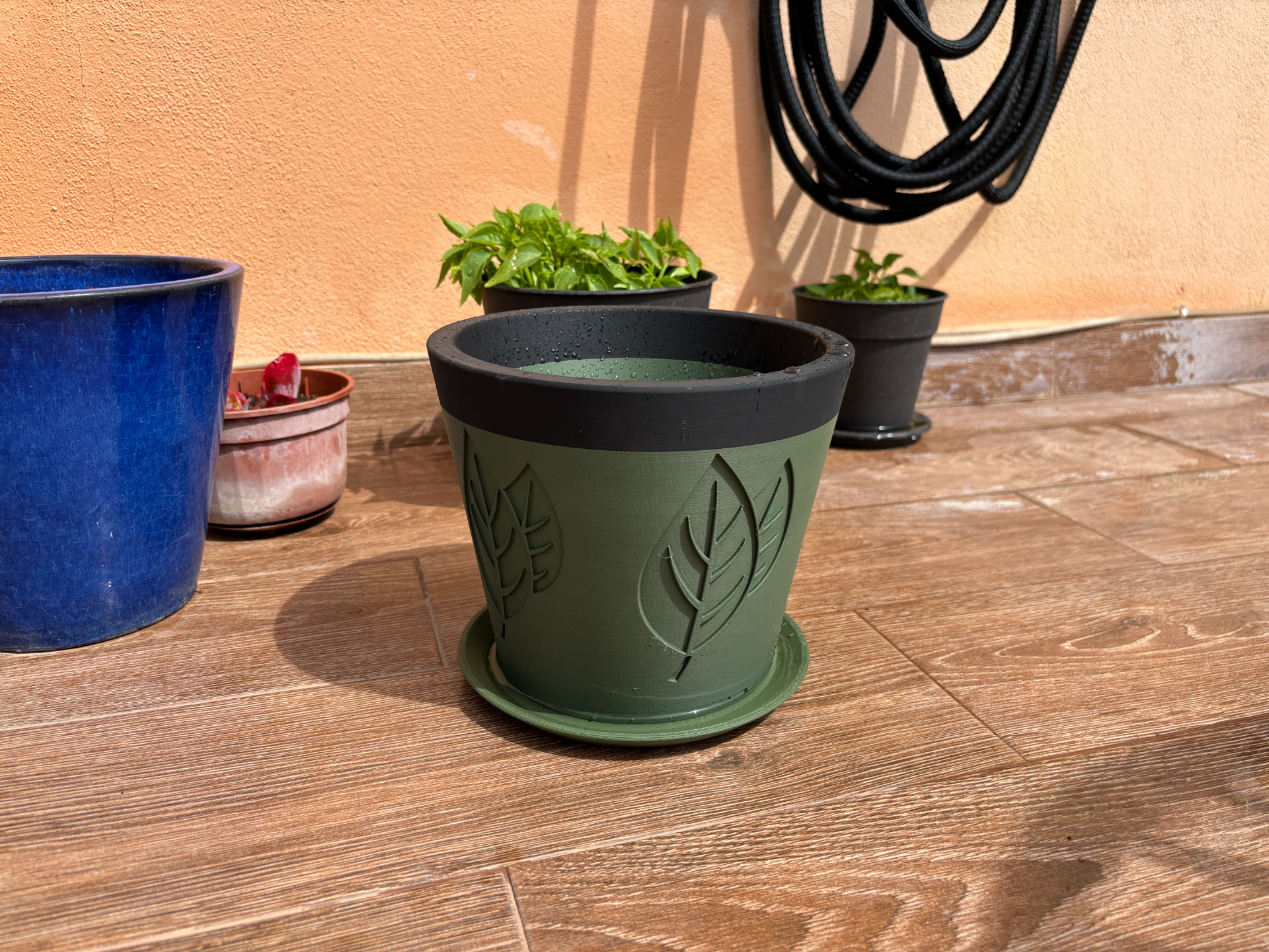 Basil Plantpot