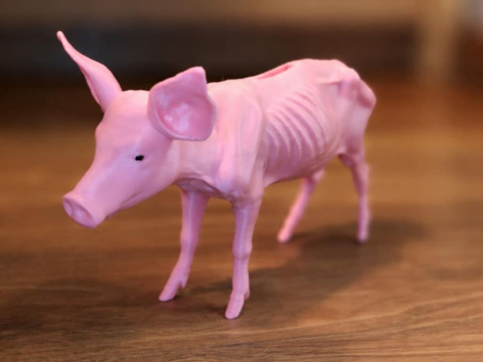 Poor piggy bank