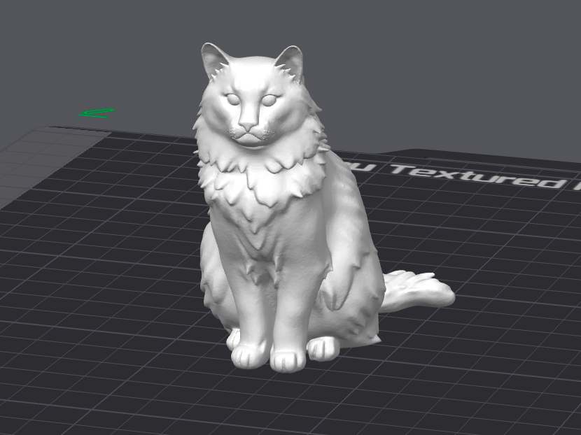 Norwegian Forest Cat 3D Model