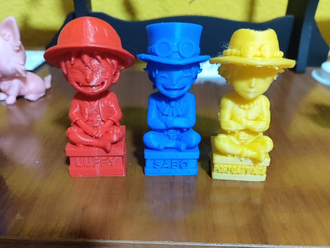 ONE PIECE HERMANOS