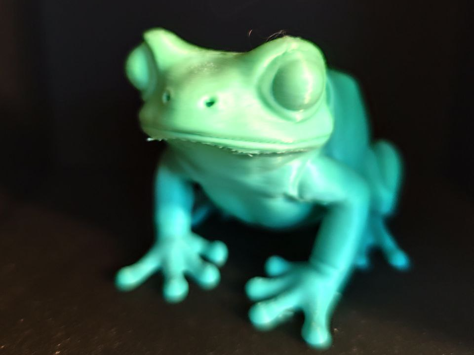 Frosch