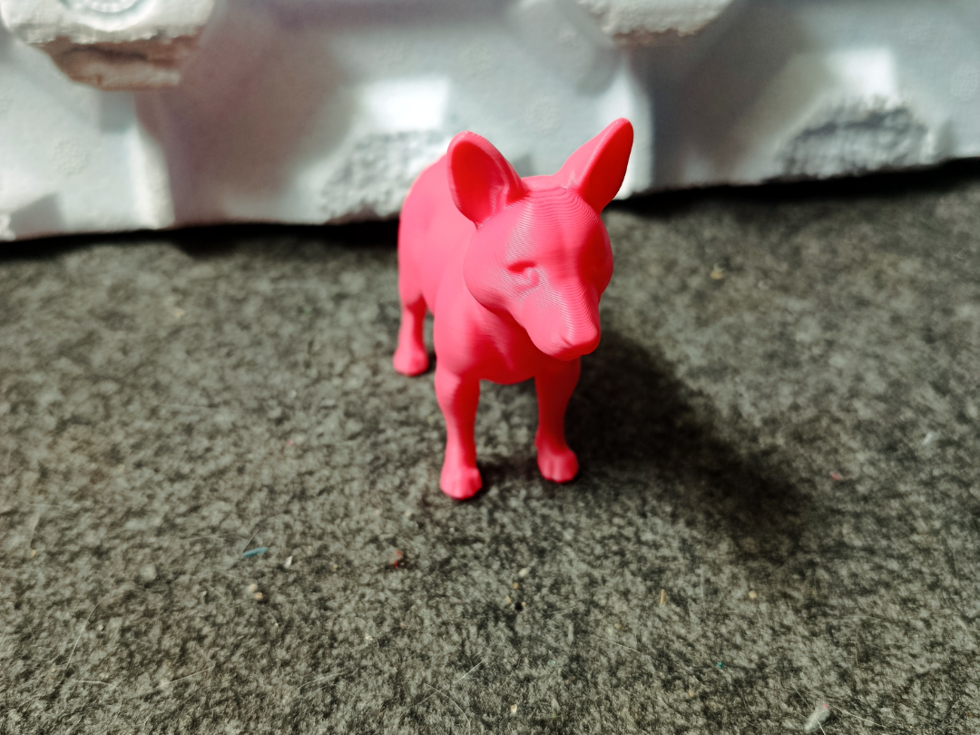 perro