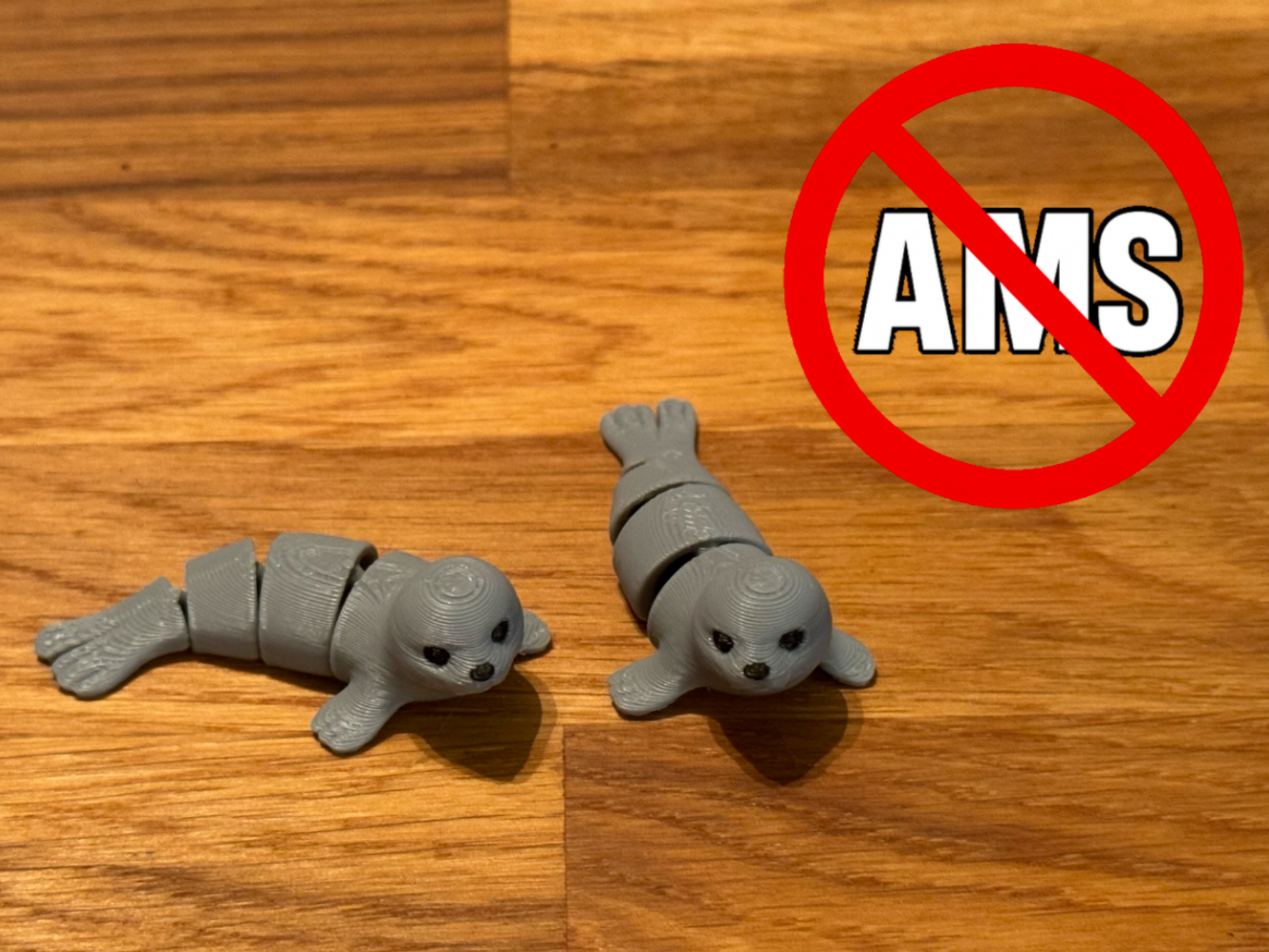 Flexi Robbe / No AMS