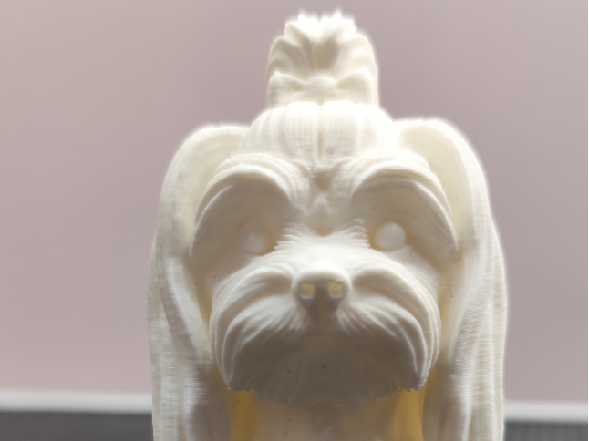 Busto Maltes