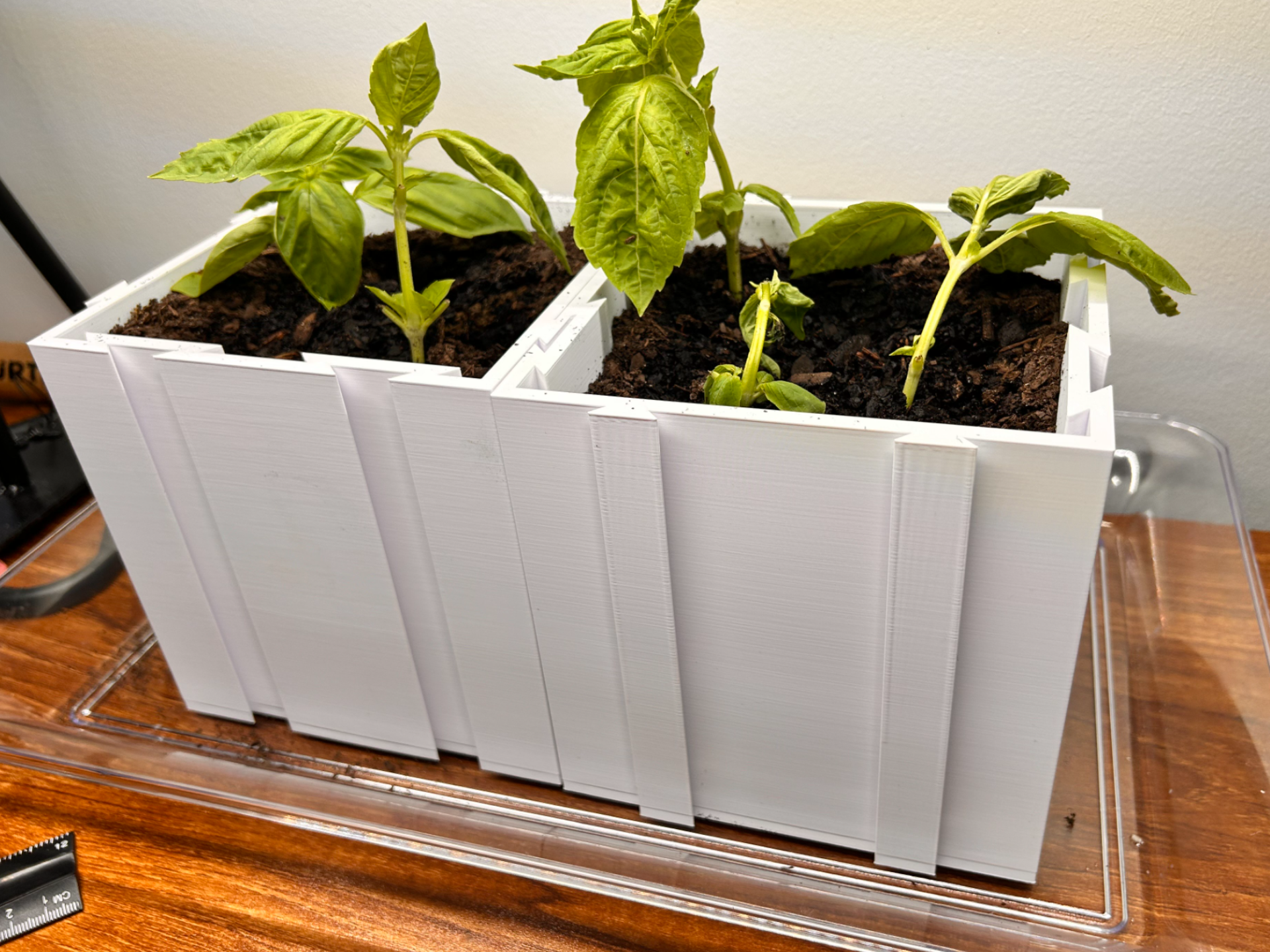 Expandable/Modular Plant holder