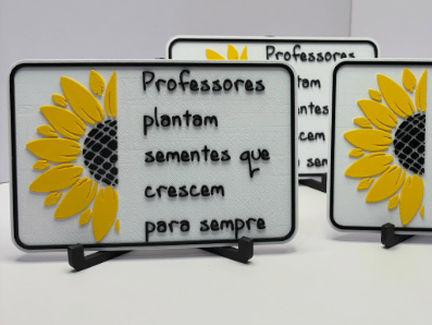 Placa Professor