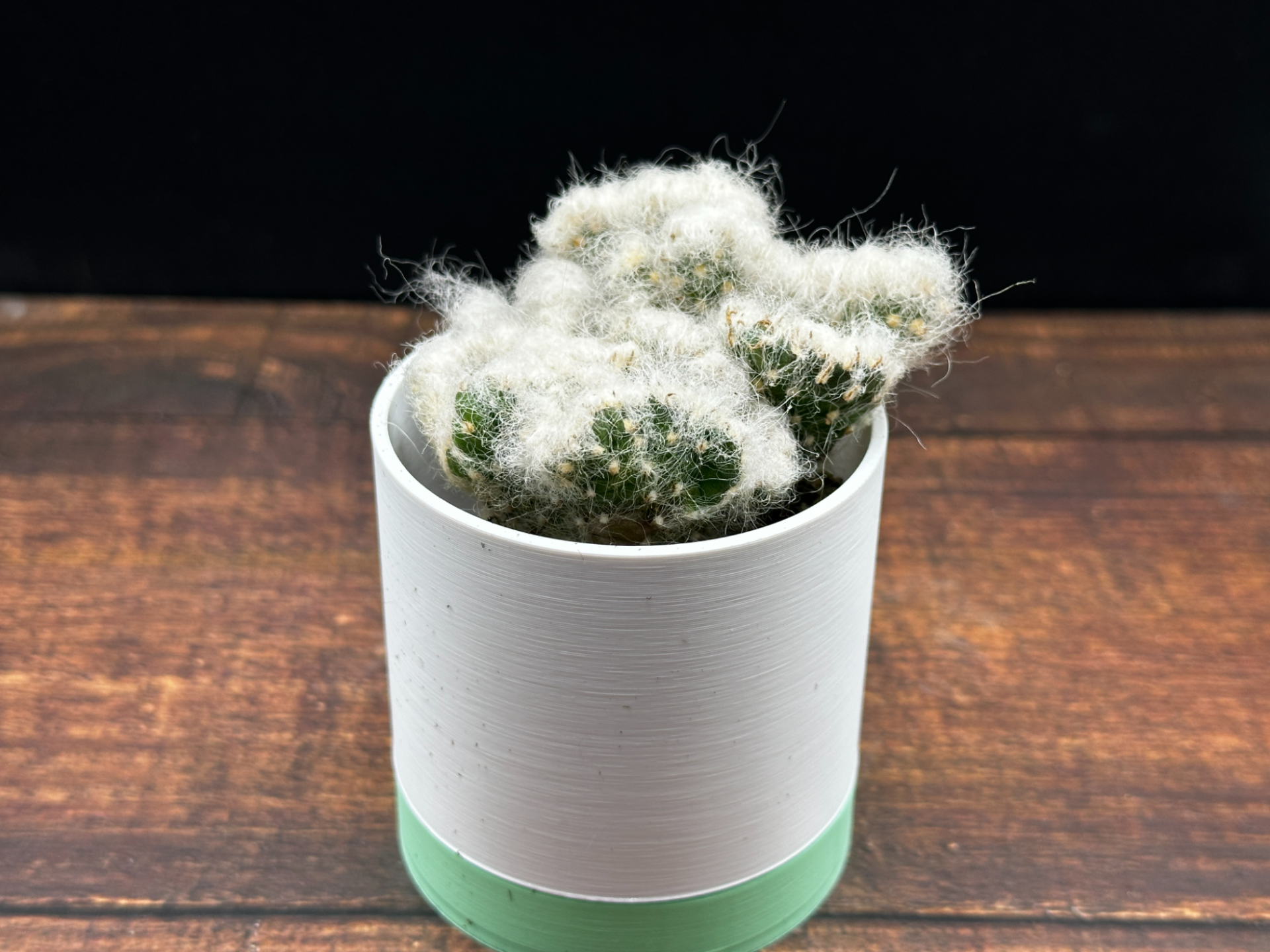 Modern Two Part Plant Pot (Small)