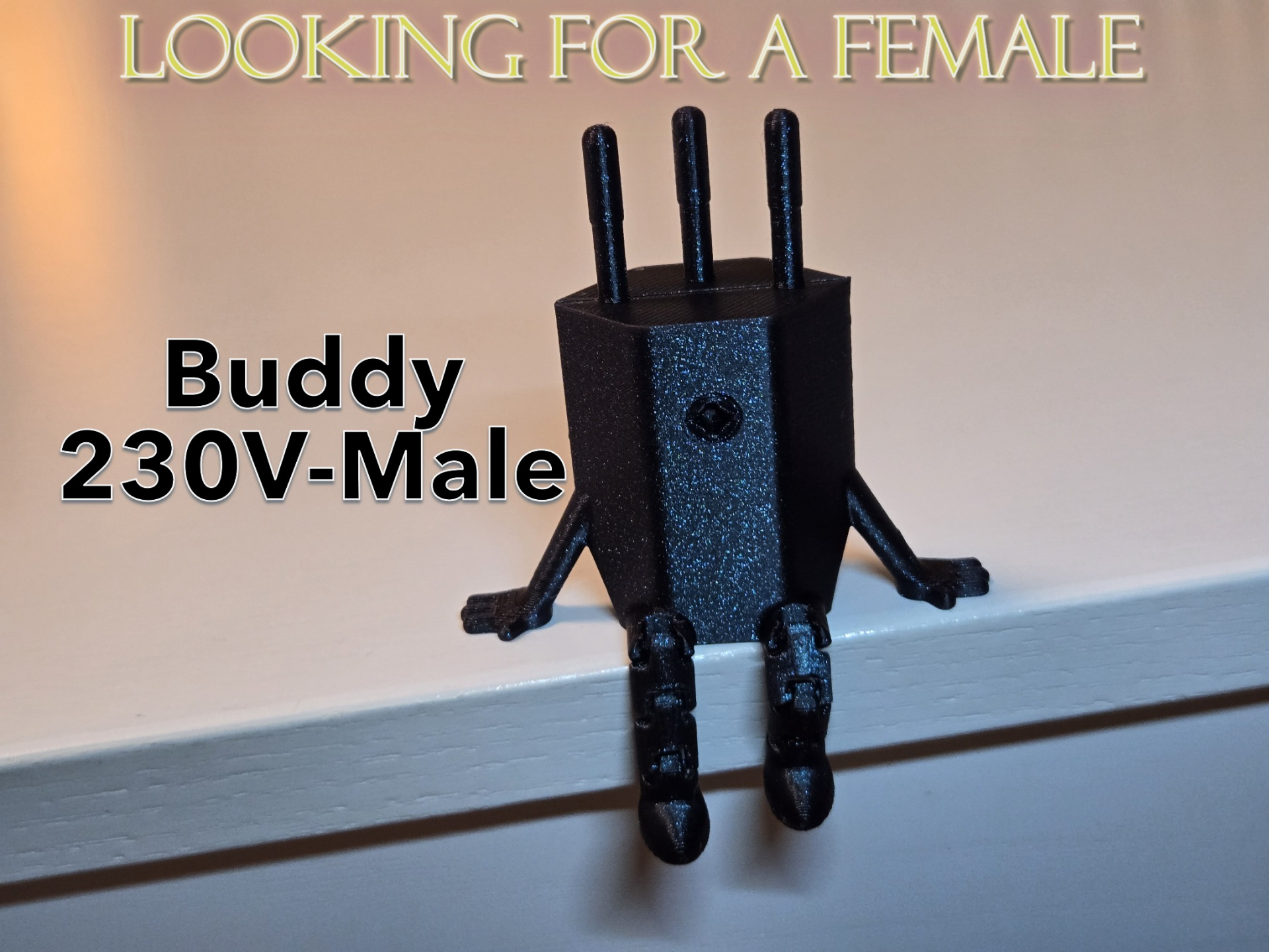 Buddy 230V