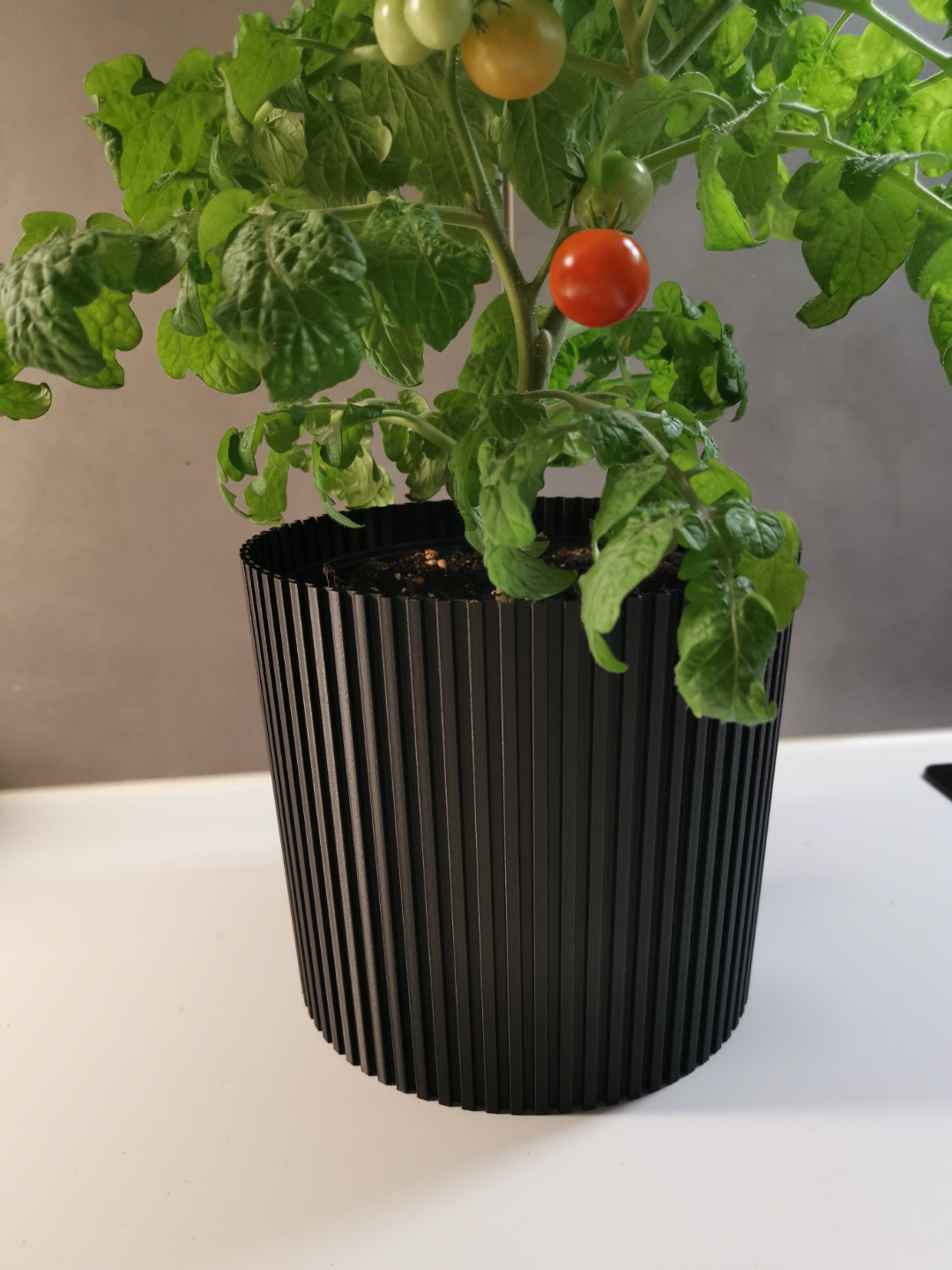 Flowerpot