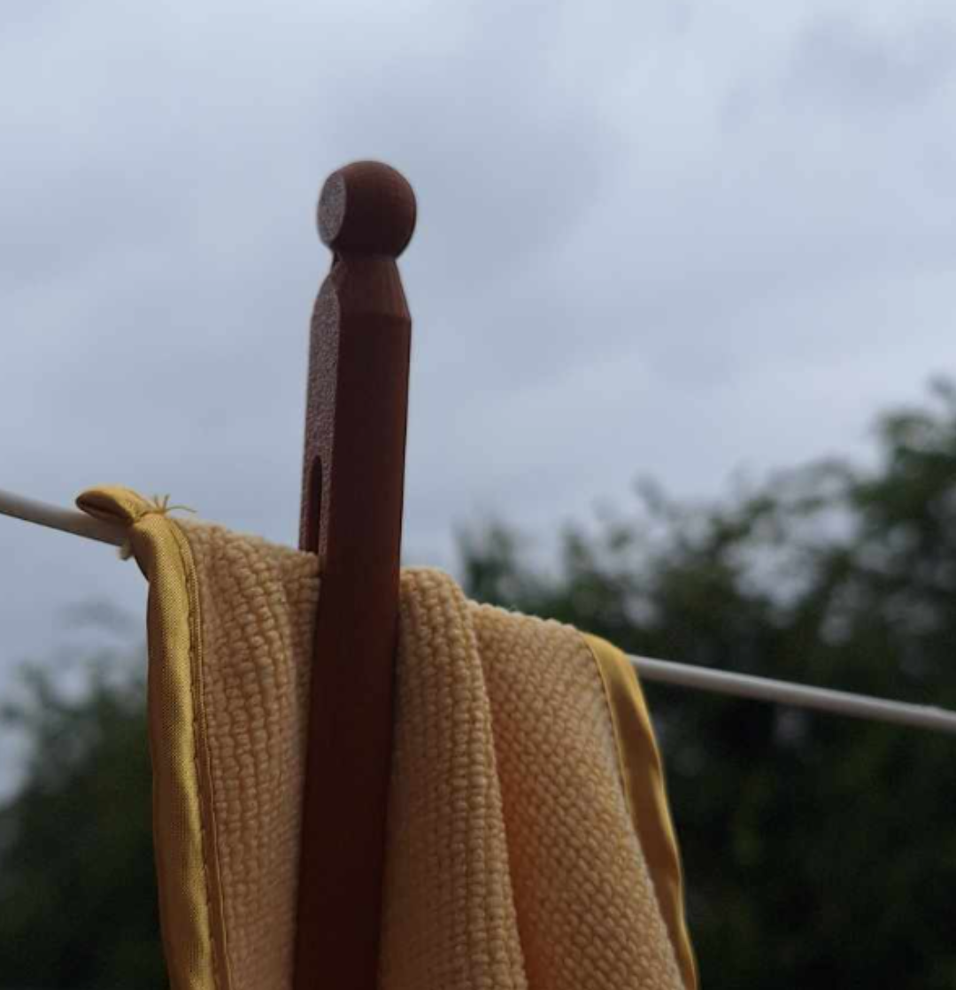 Mr peg clothes peg