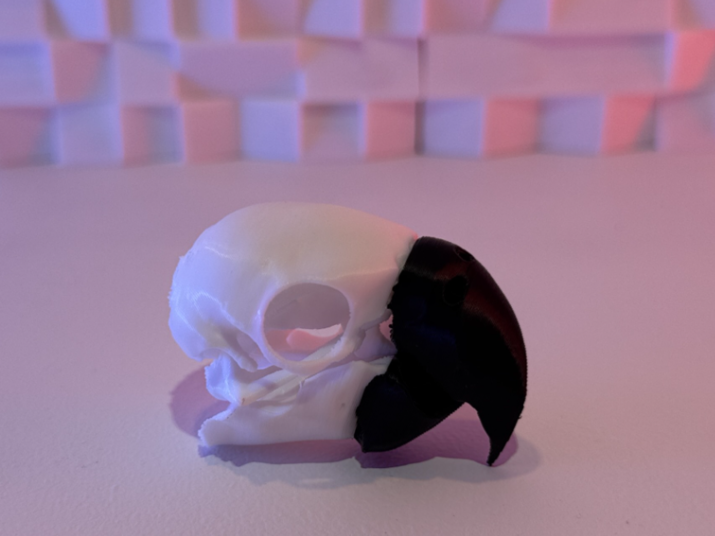 Parrot Skull (5-25 Grams) AMS & No AMS
