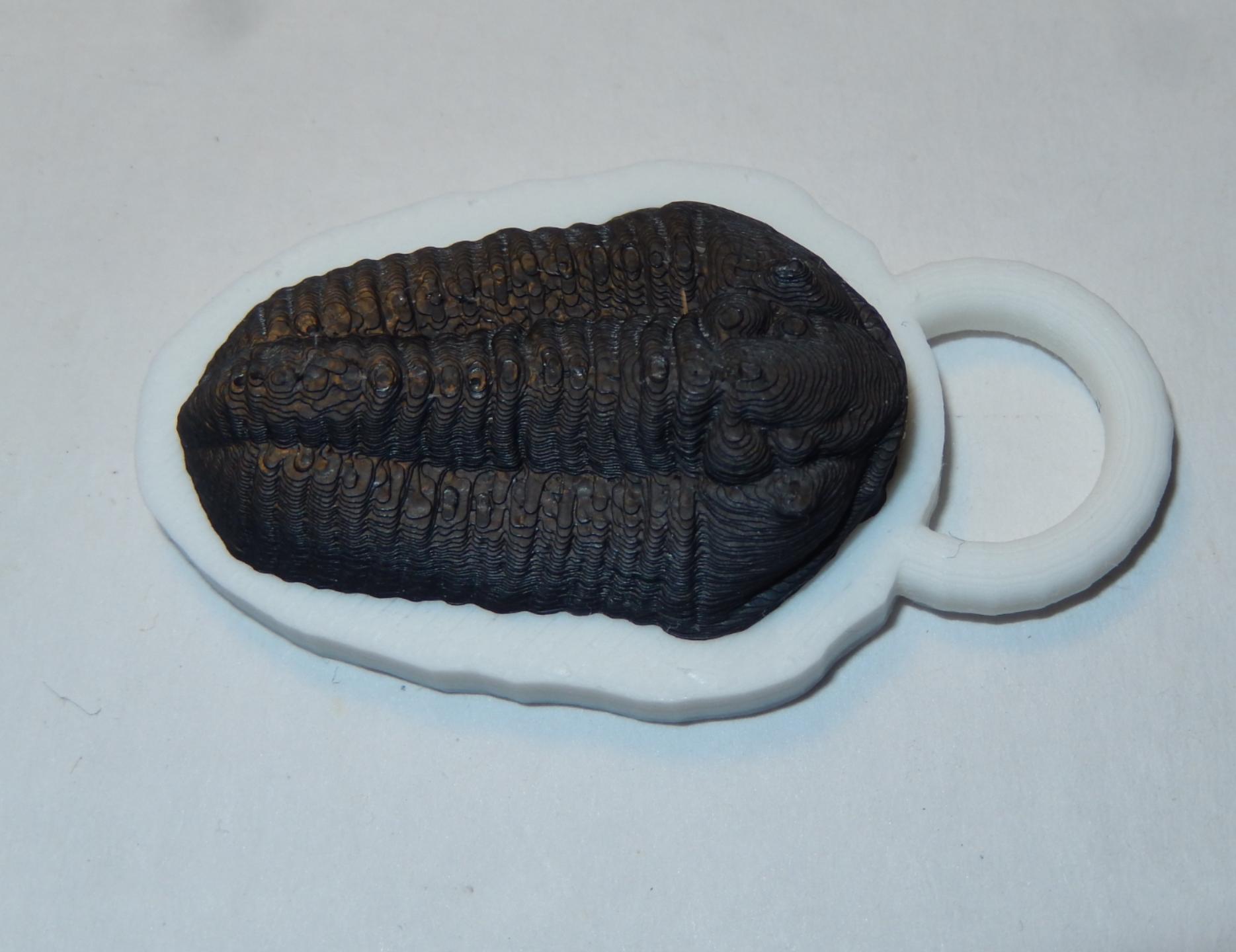 Trilobite pendant, keychain