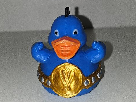 Pro Wrestler Duck