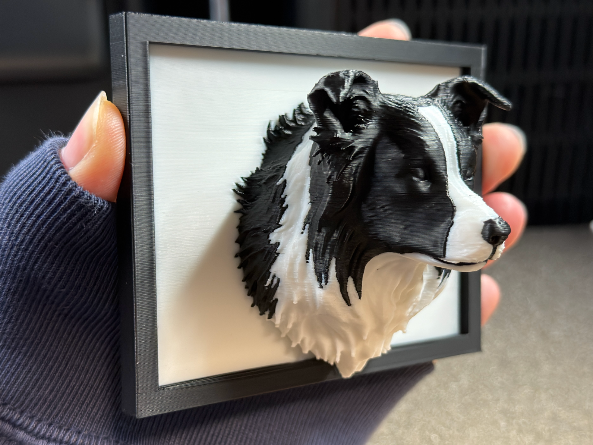 Border Collie 3D Wall Art - Low Relief Portrait