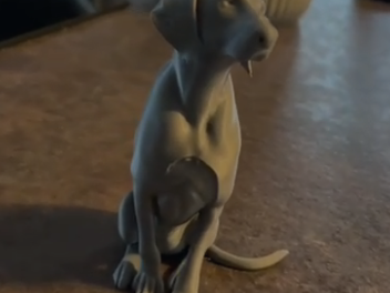 Weimaraner in miniatura
