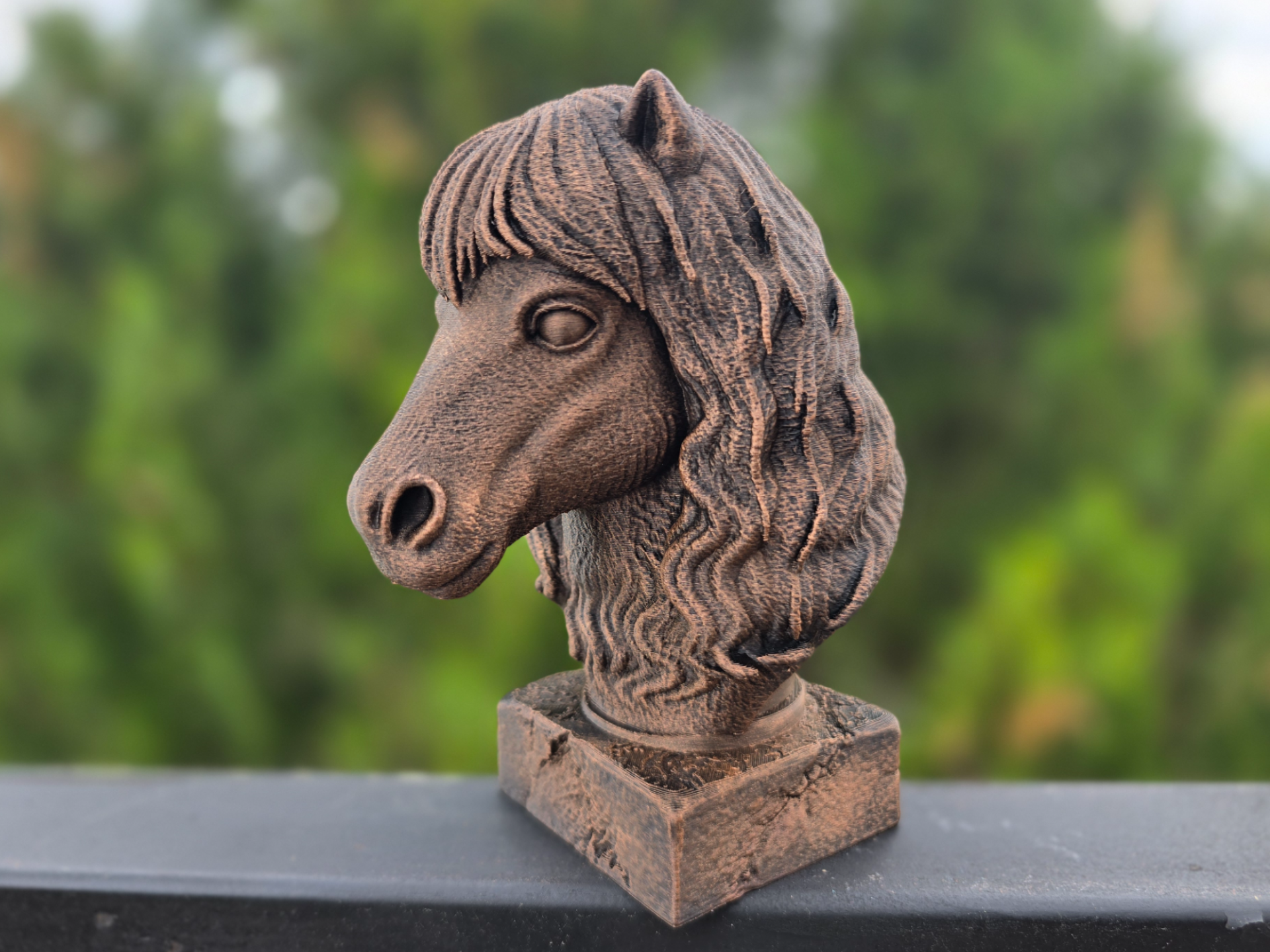 SHETLAND PONY BUST