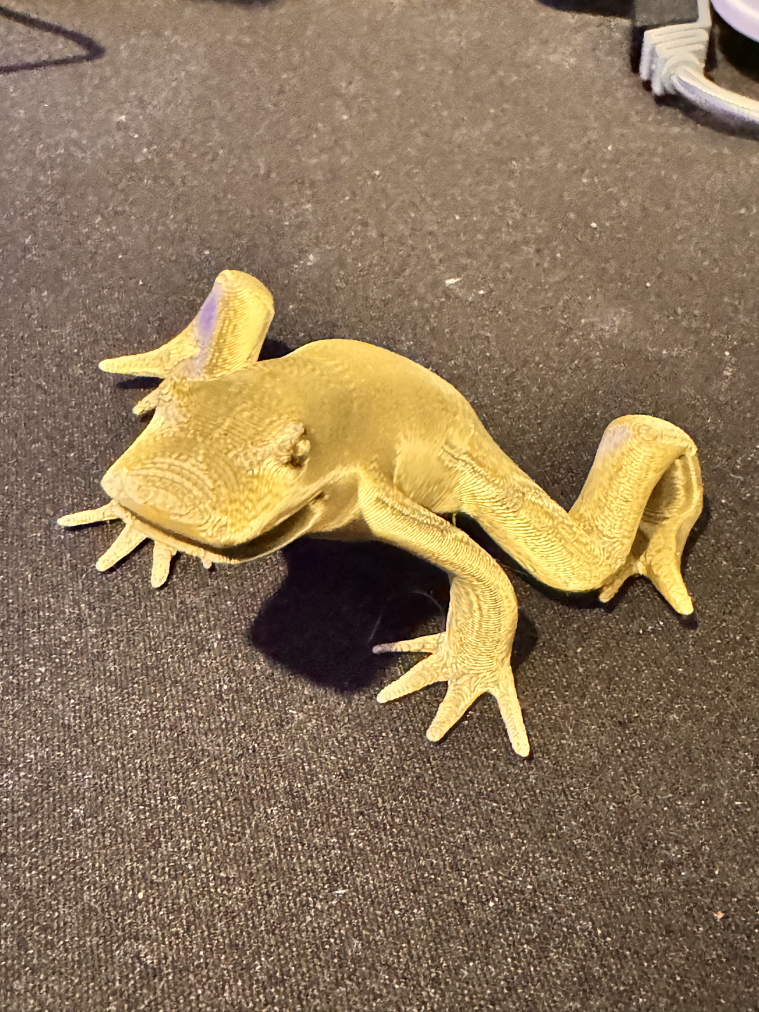 Cute Frog