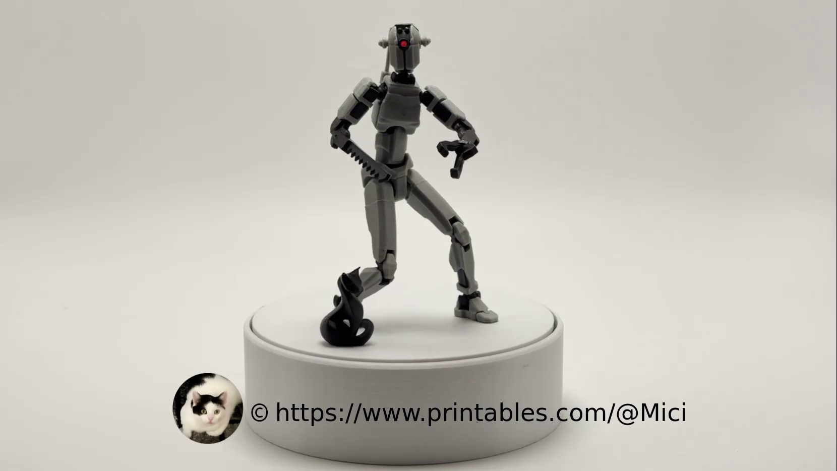 DUMMY13 goes to COMI CON - FO4 Assaultron V1b9