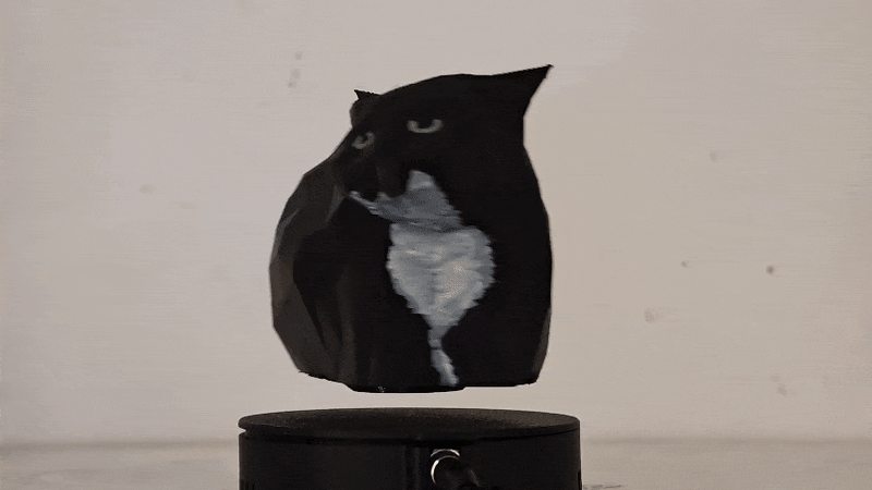 Maxwell the cat levitating model (No AMS)