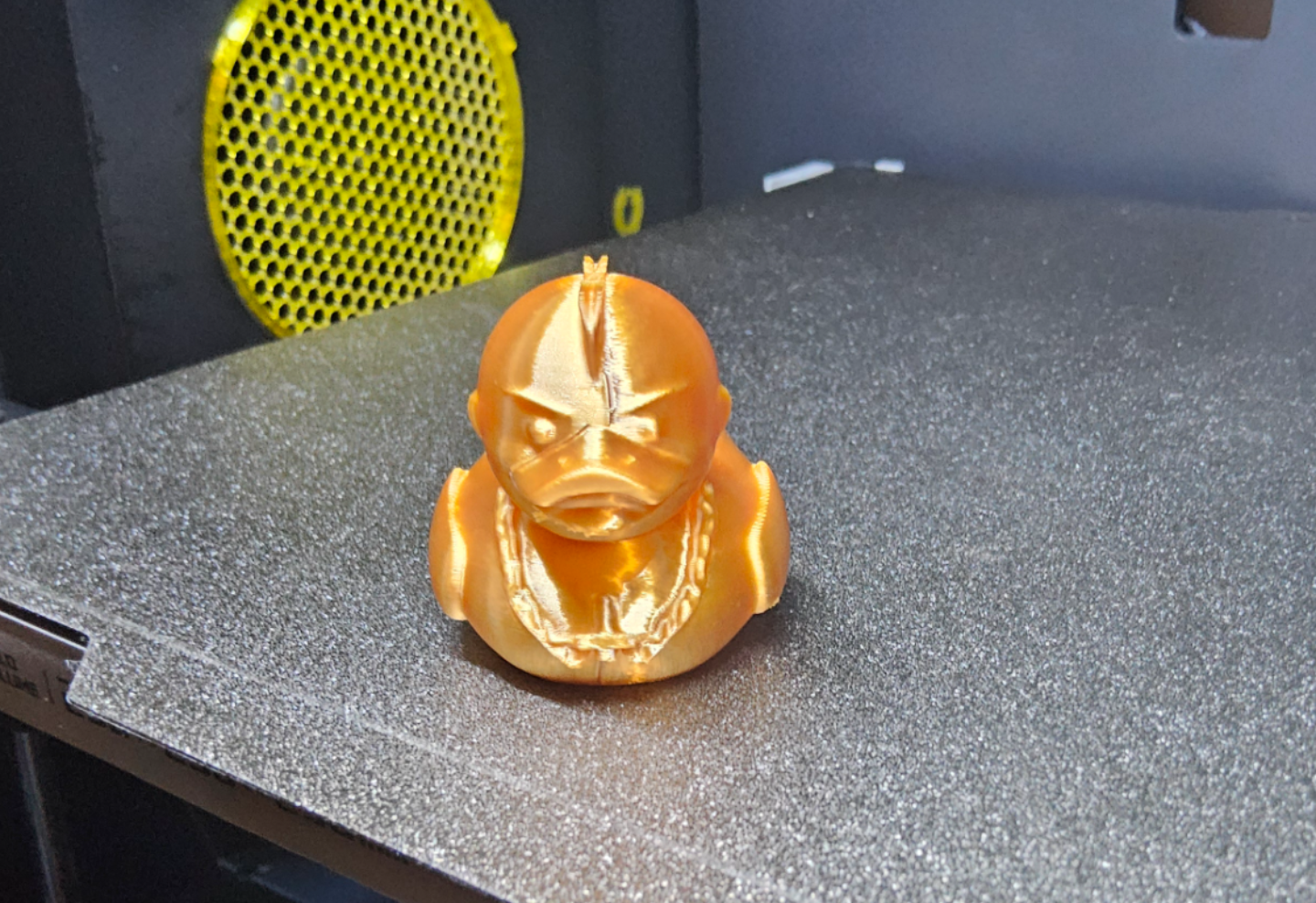 Mr.T duck