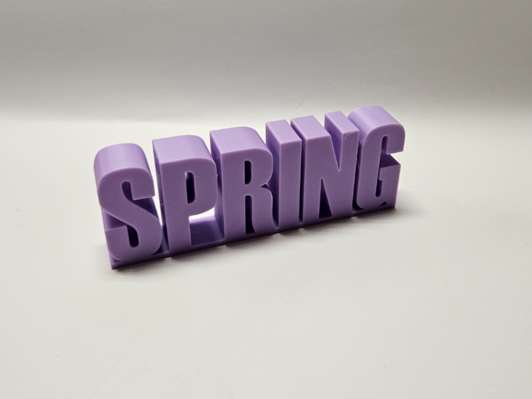 Schriftzug Spring