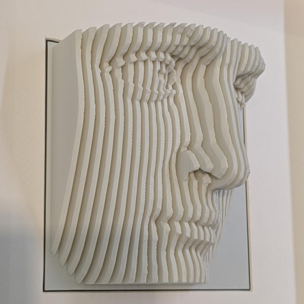 Michaelangelo's David - Layered Sculpture