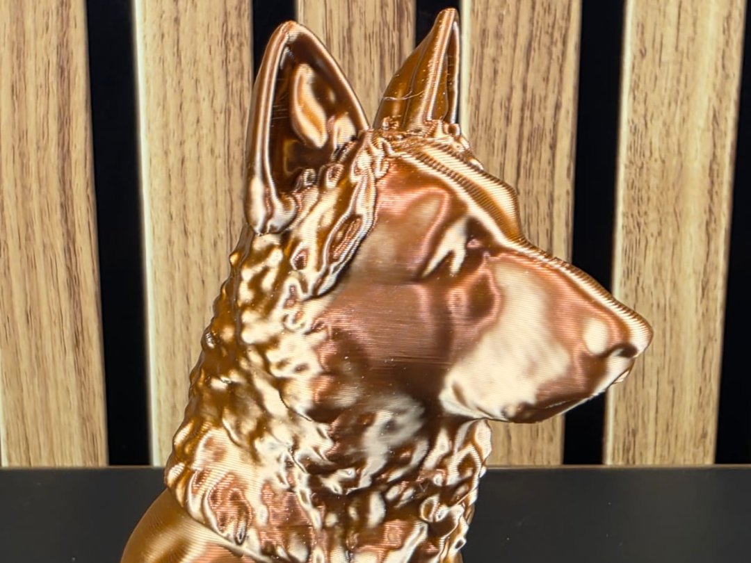 Deutscher Schäferhund - German Shepherd