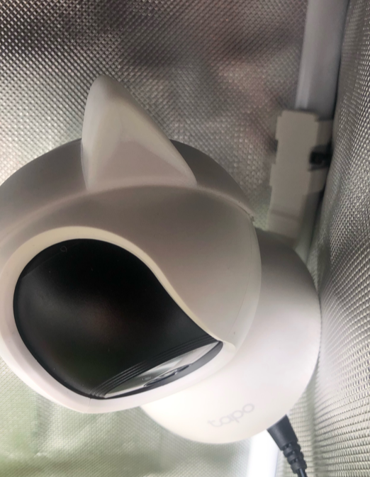 Tapo C200 45° Halterung mit 16mm Clip