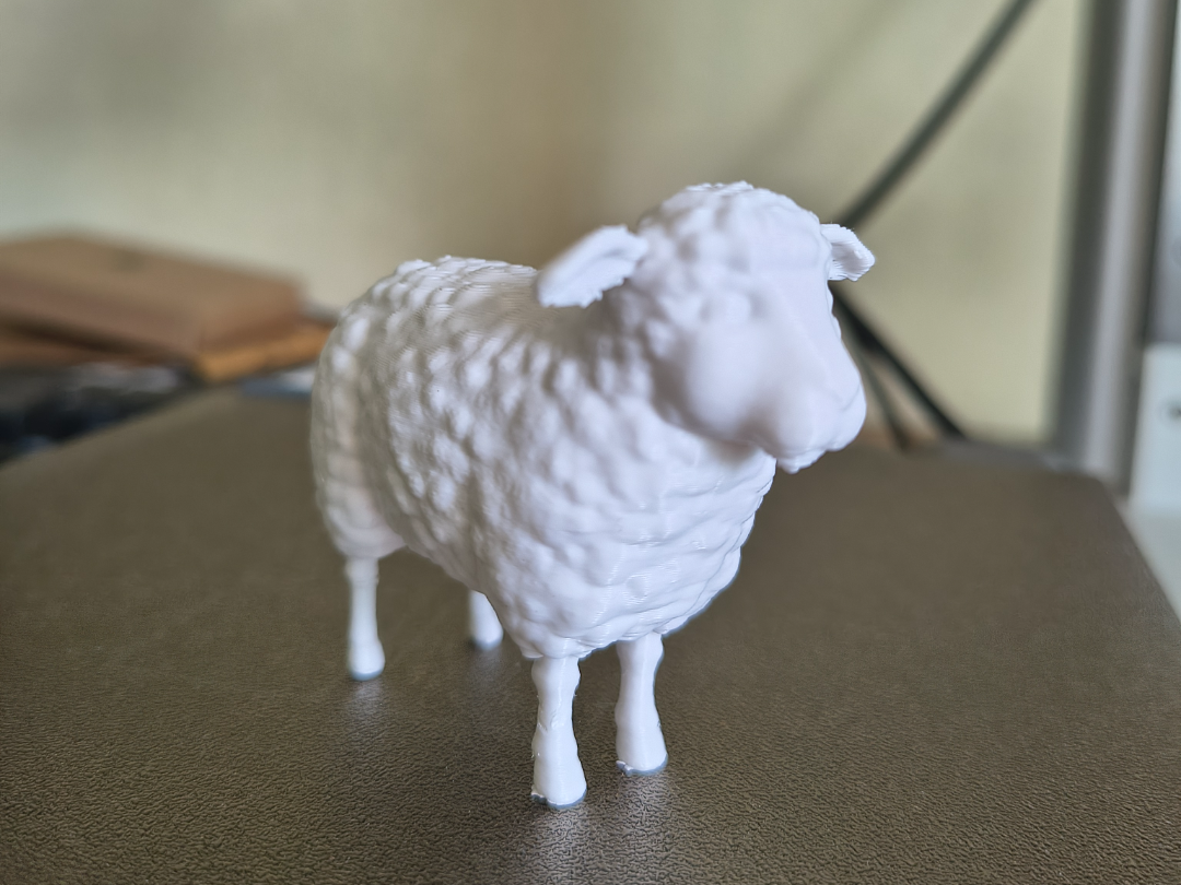 Sheep