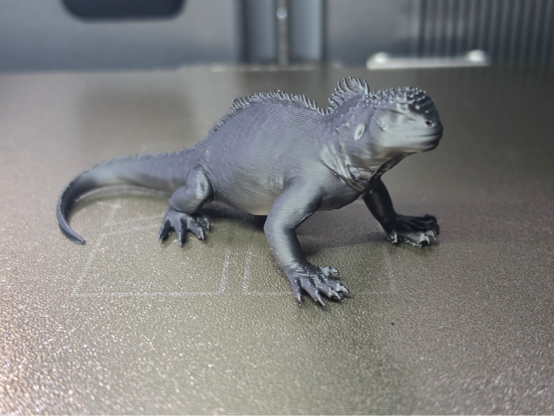Marine Iguana –Realistic Sea Lizard