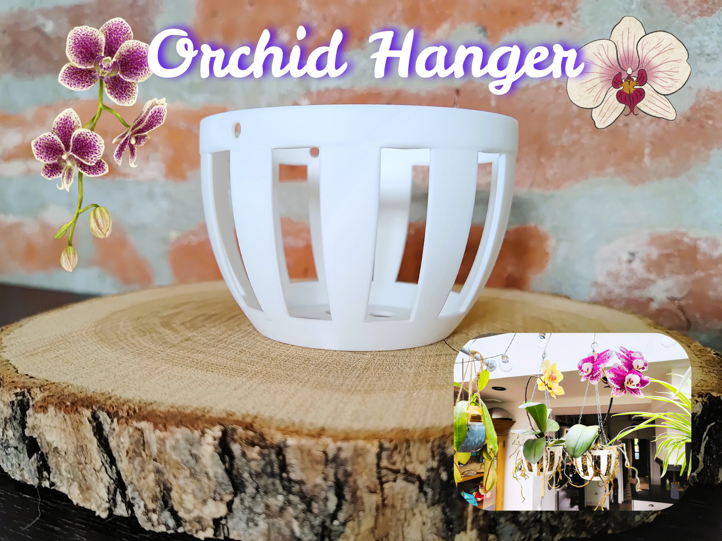 Orchid Hanger (or other plants of course)