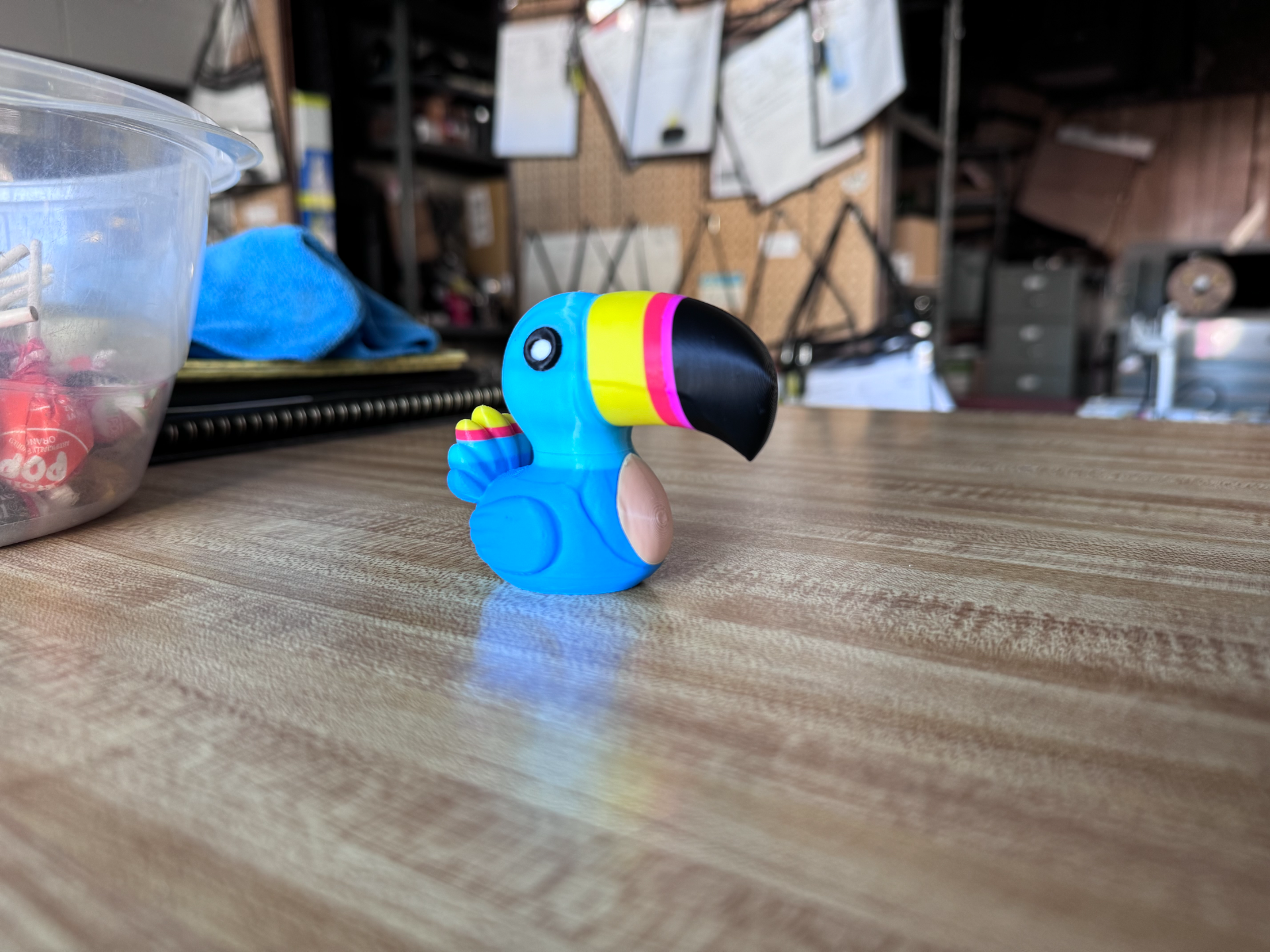The Colorful Toucan