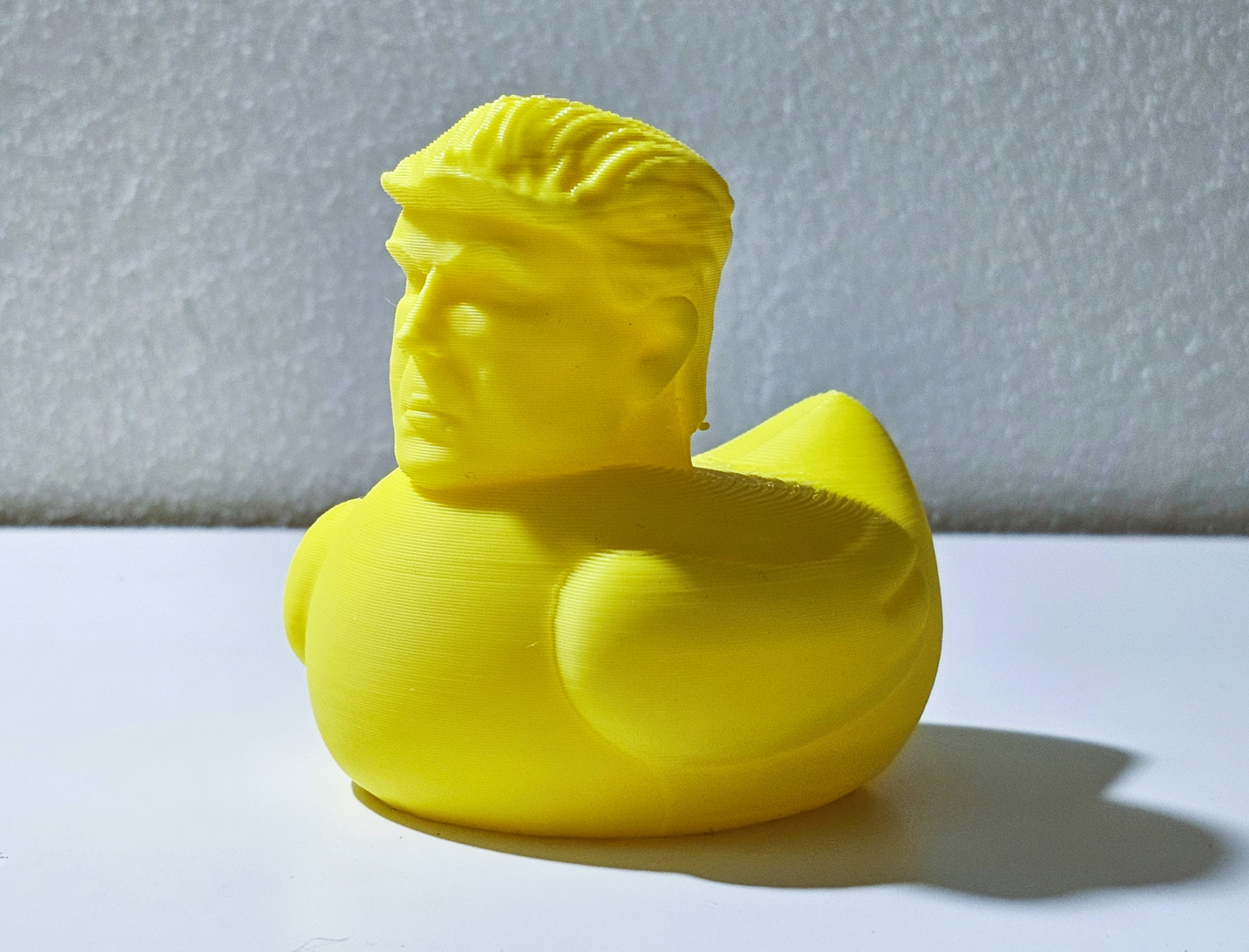 Donald Trump bathroom companion
