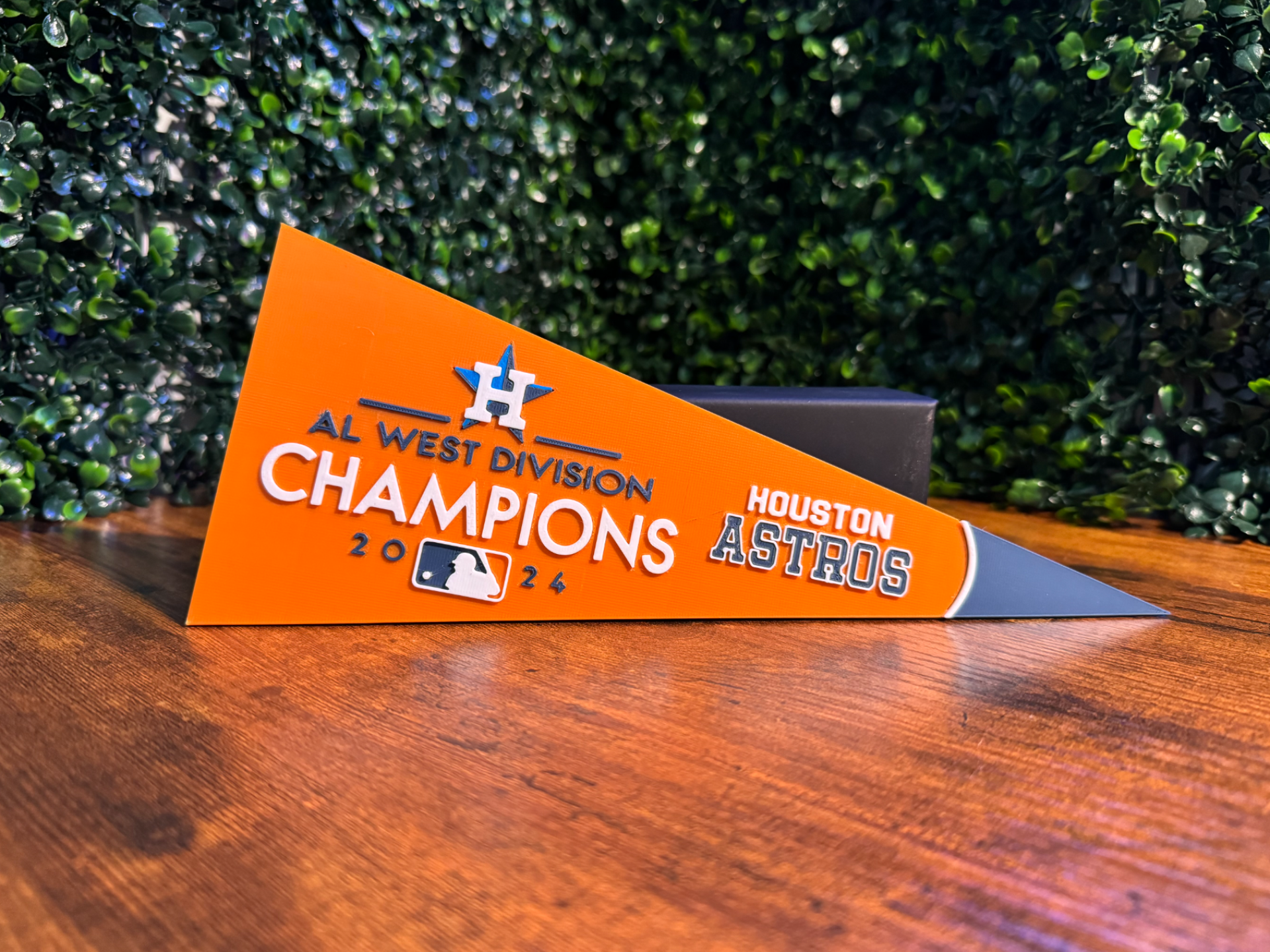 Houston Astros AL West Pennant