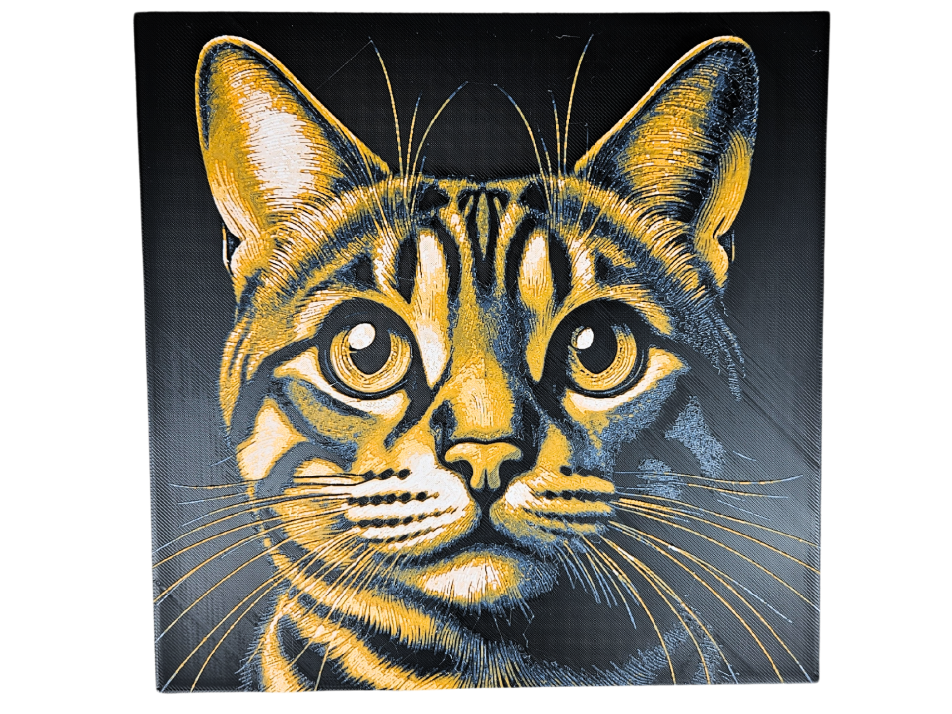 Bengal Tabby Cat