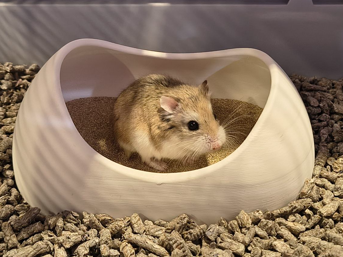 Soft Bathtub for Hamsters or Small Rodents