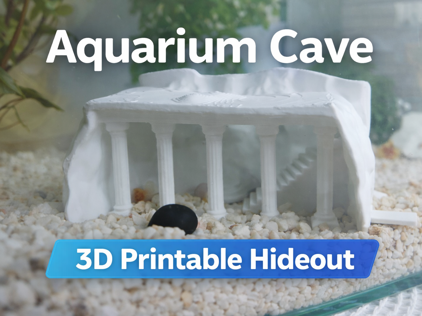 Ancient Cave – Smooth Rock Shelter