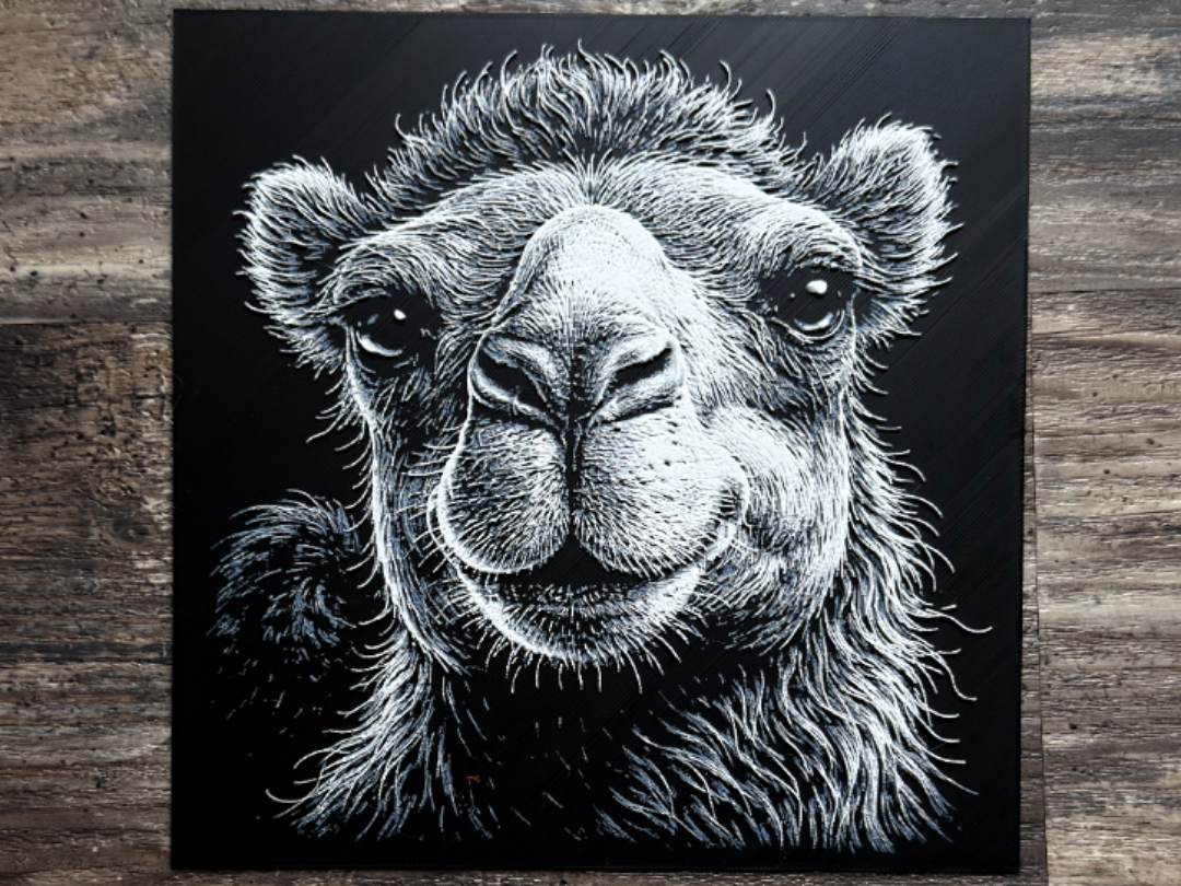 Camel Wildlife Series