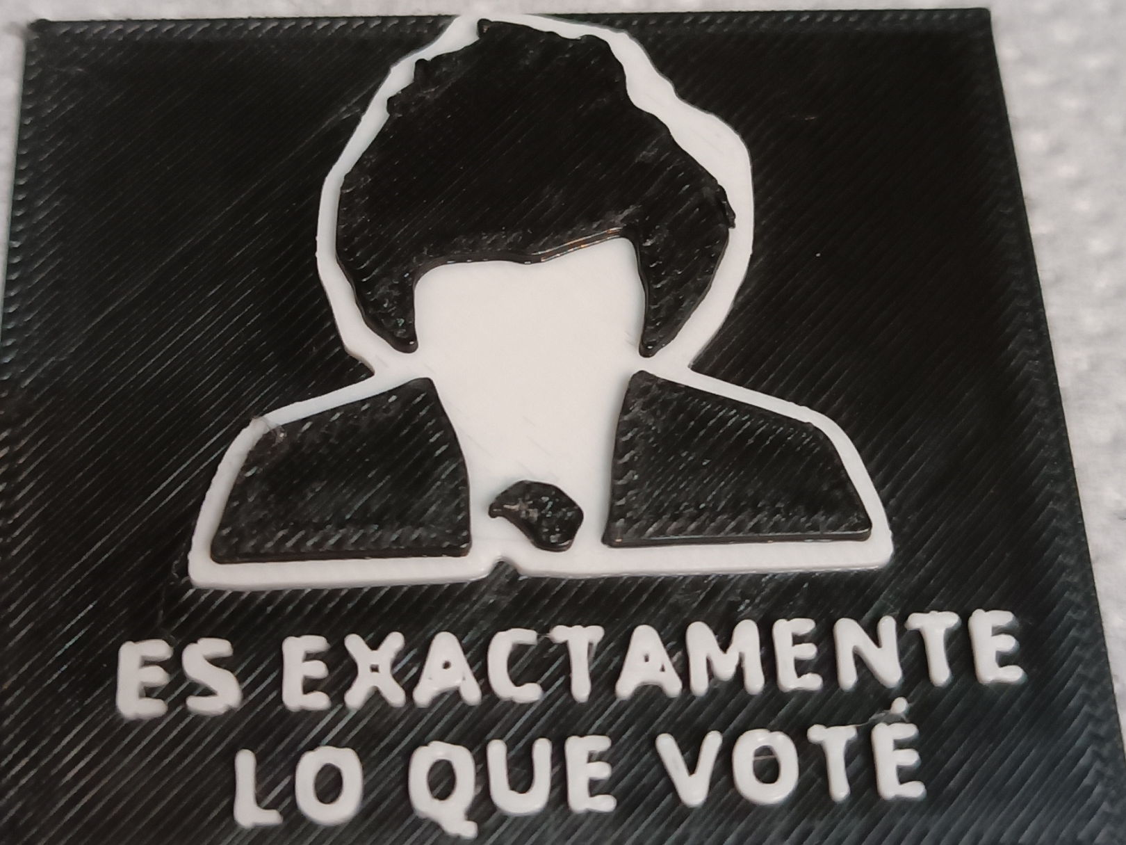 Es Exactamente Lo Que Voté