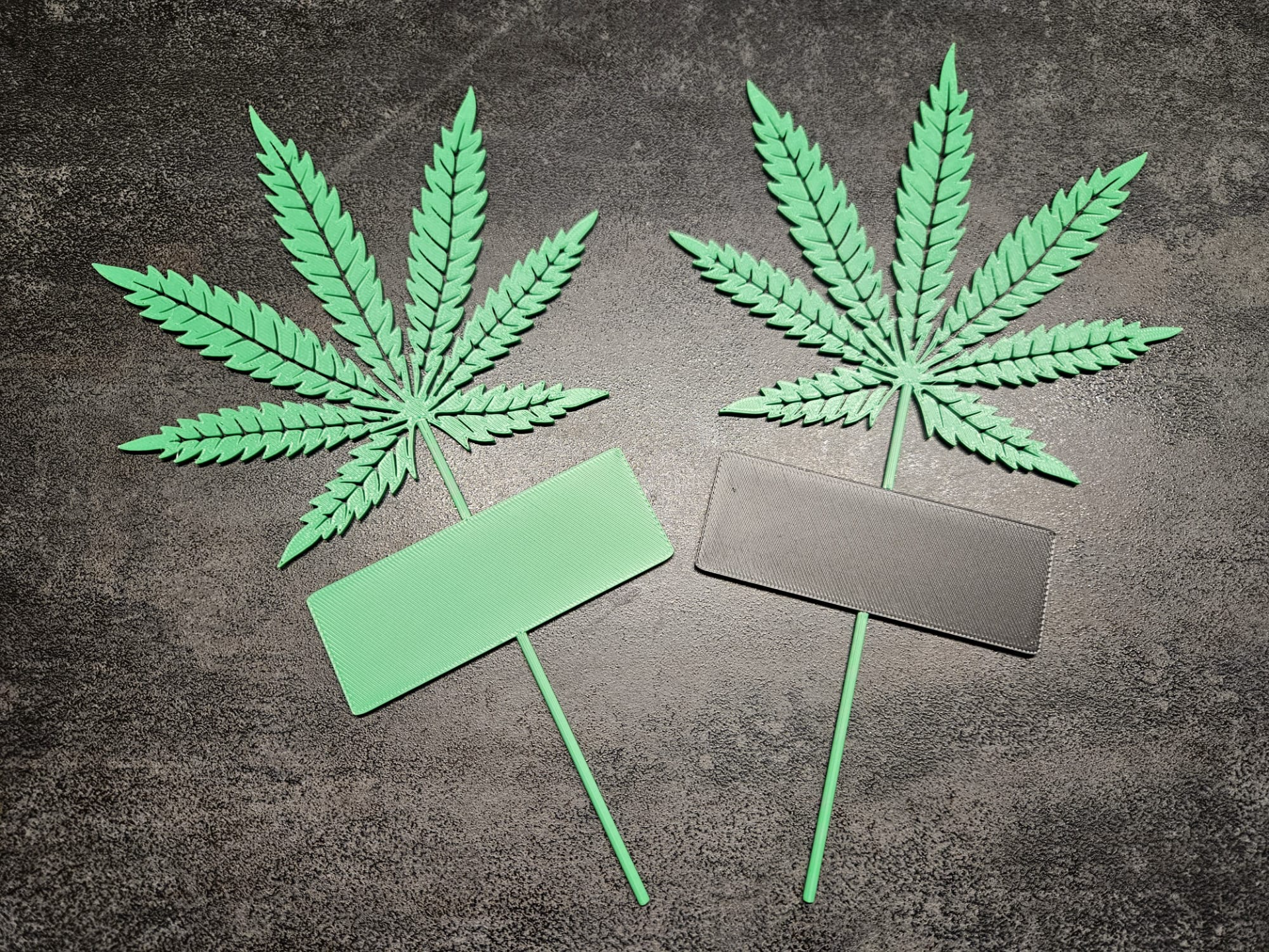 Pflanzschild_Cannabis