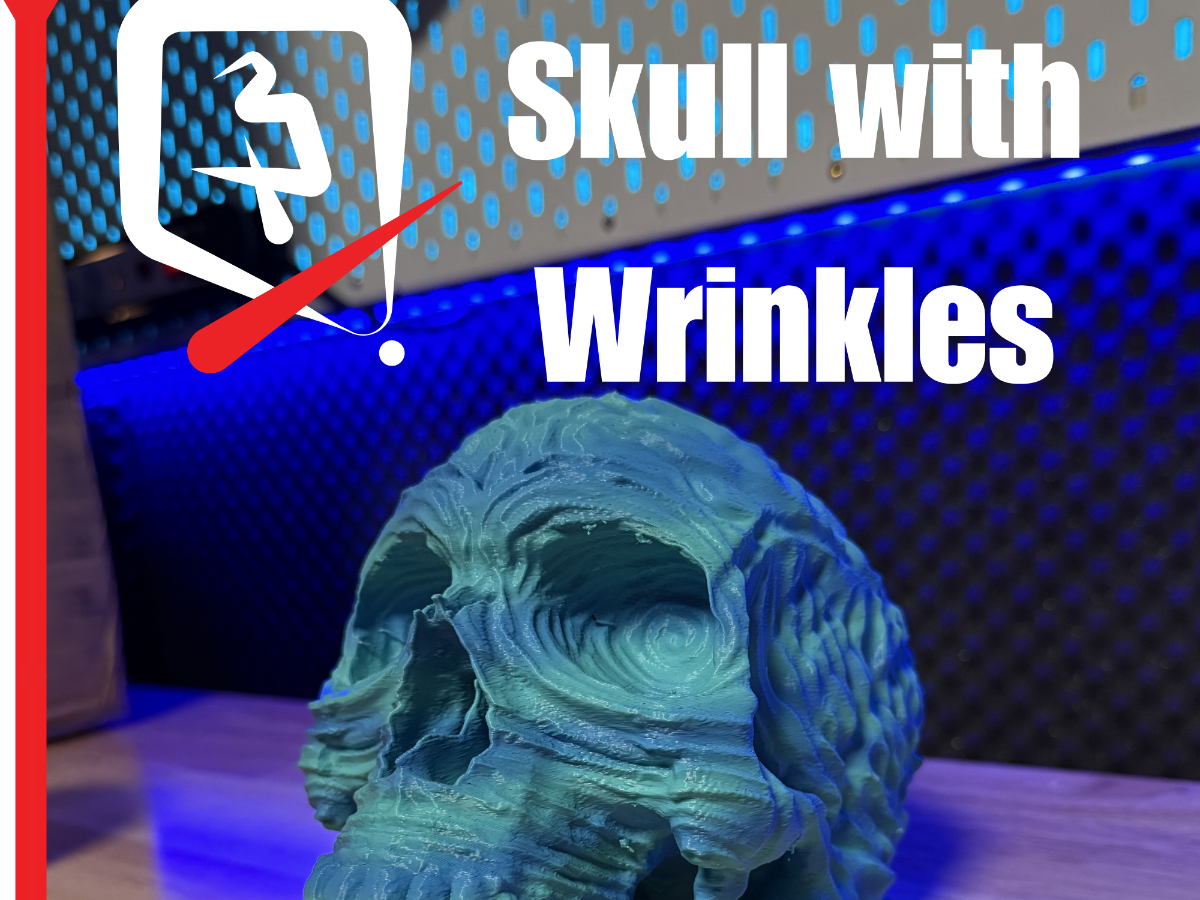 Wrinkled Skull