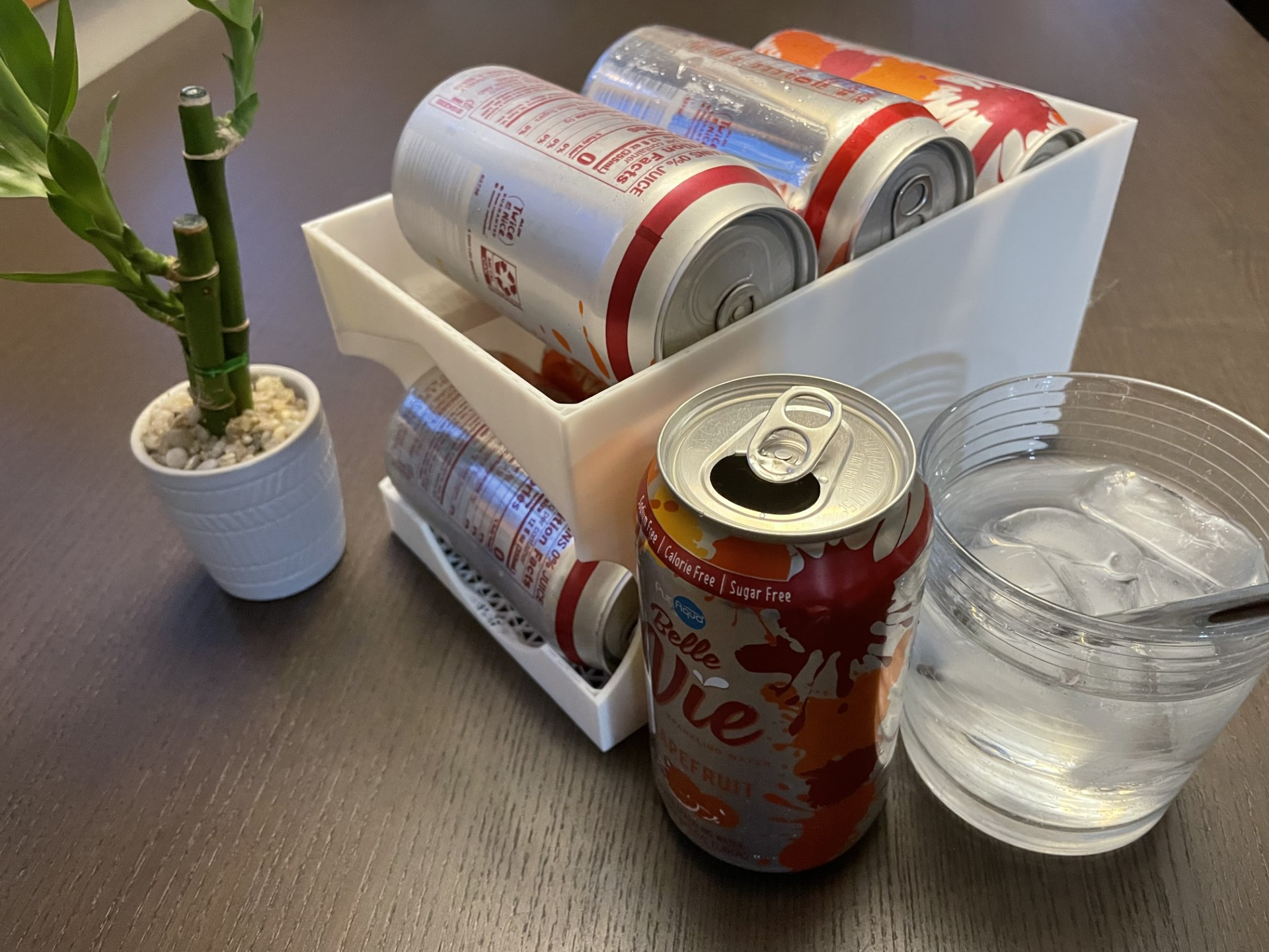 Can Dispenser (1 Print)