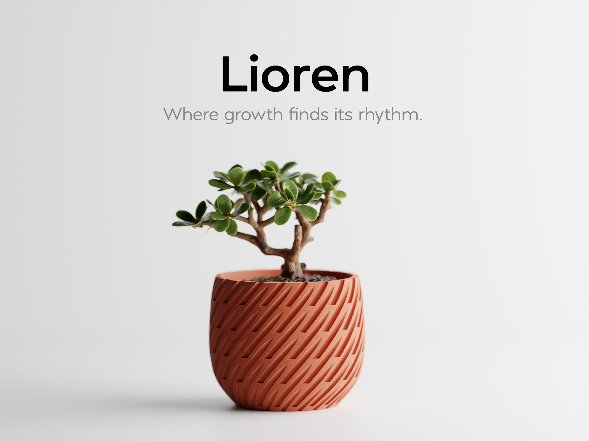 Lioren - Where growth finds its rhythm.