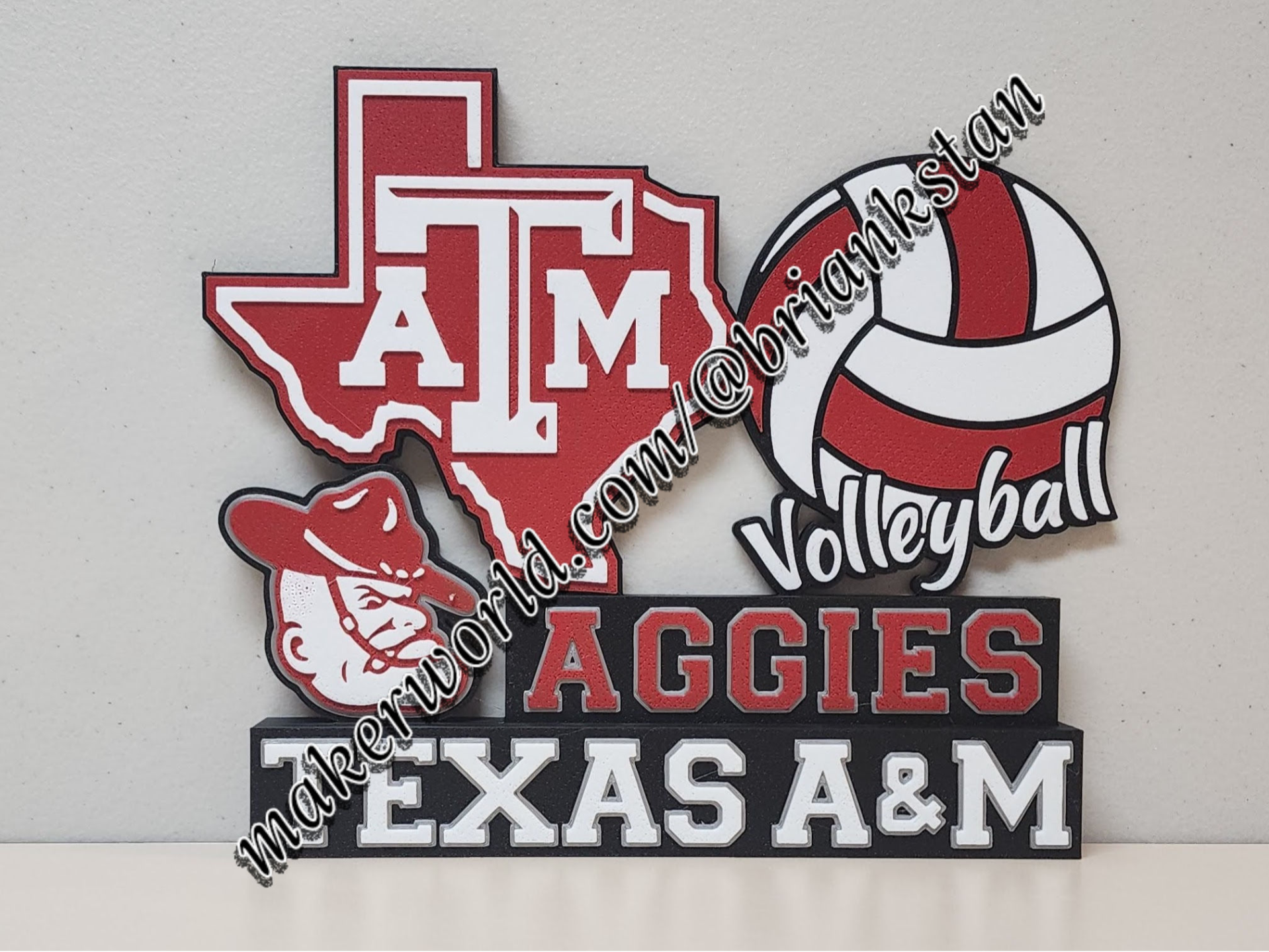 Texas A&M Aggies Volleyball Wall or Desk Display