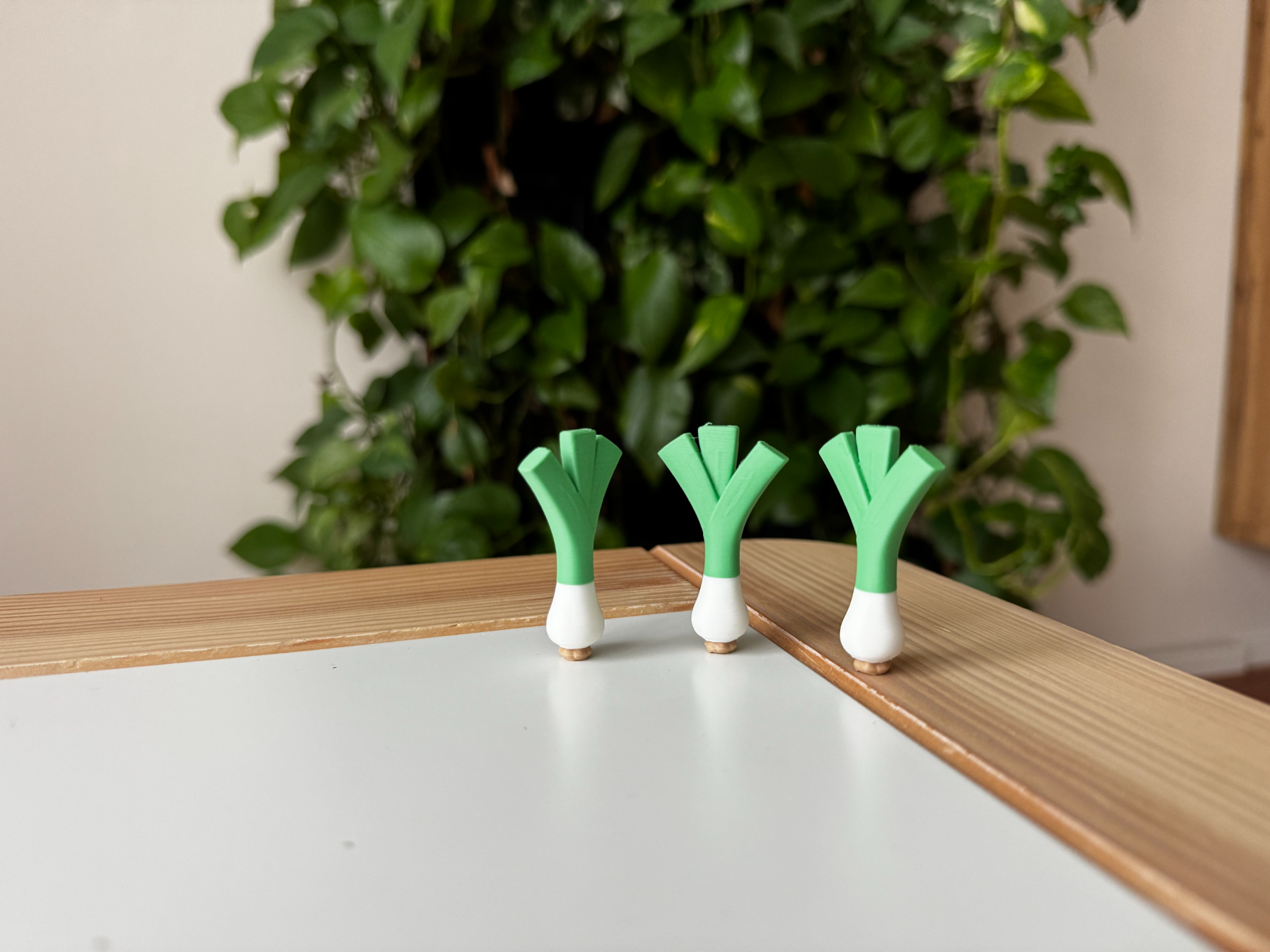 Leek