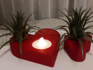 Valentine Hearts with Air Plant