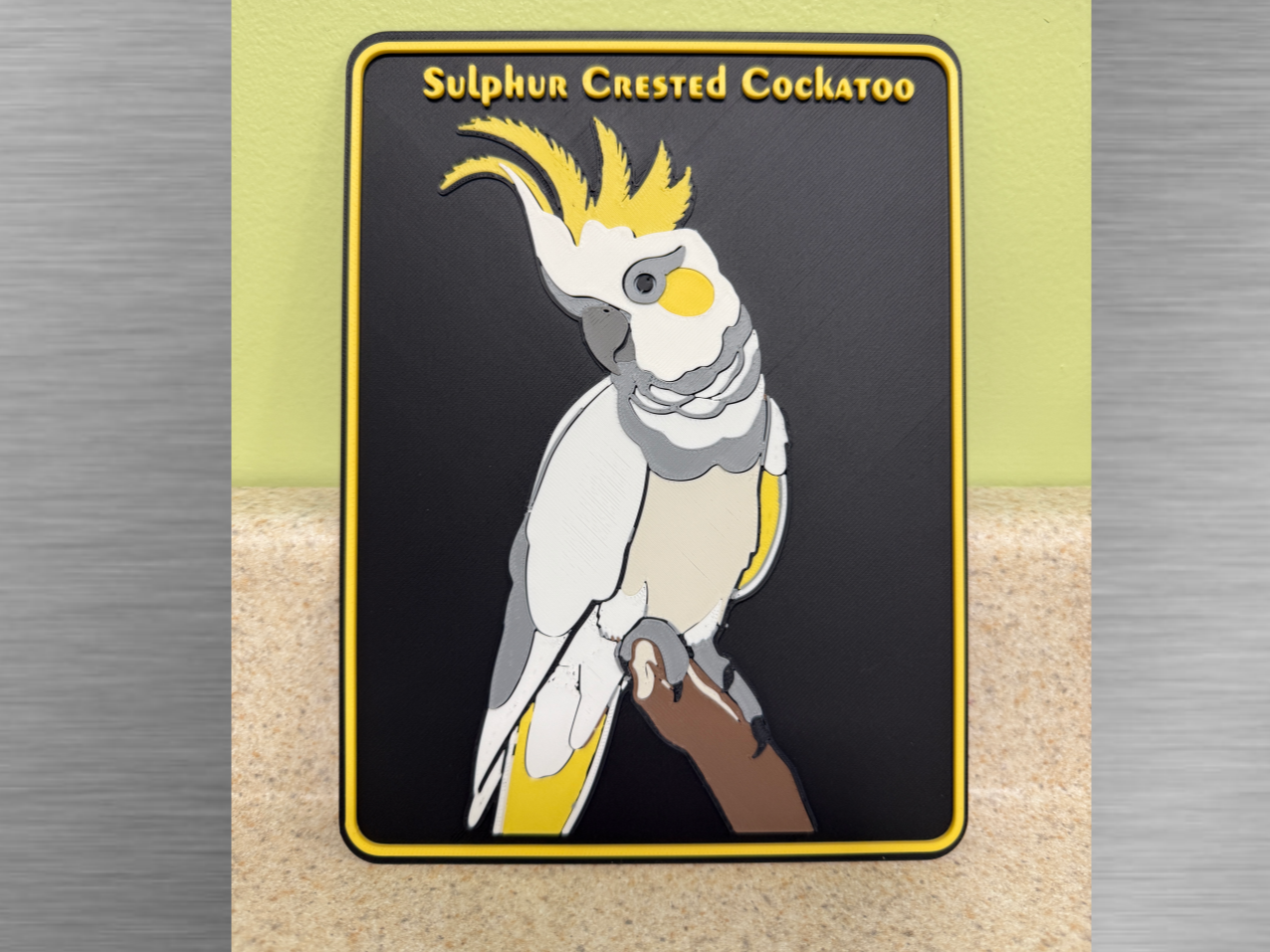 Sulphur Crested Cockatoo