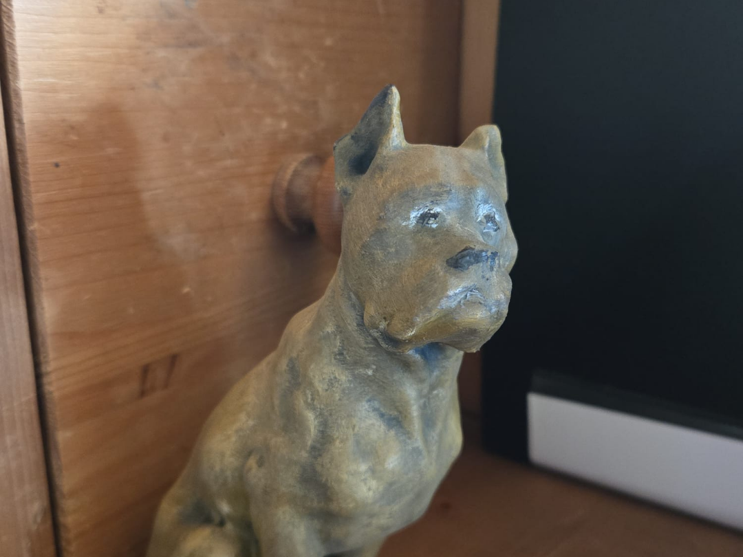 dog