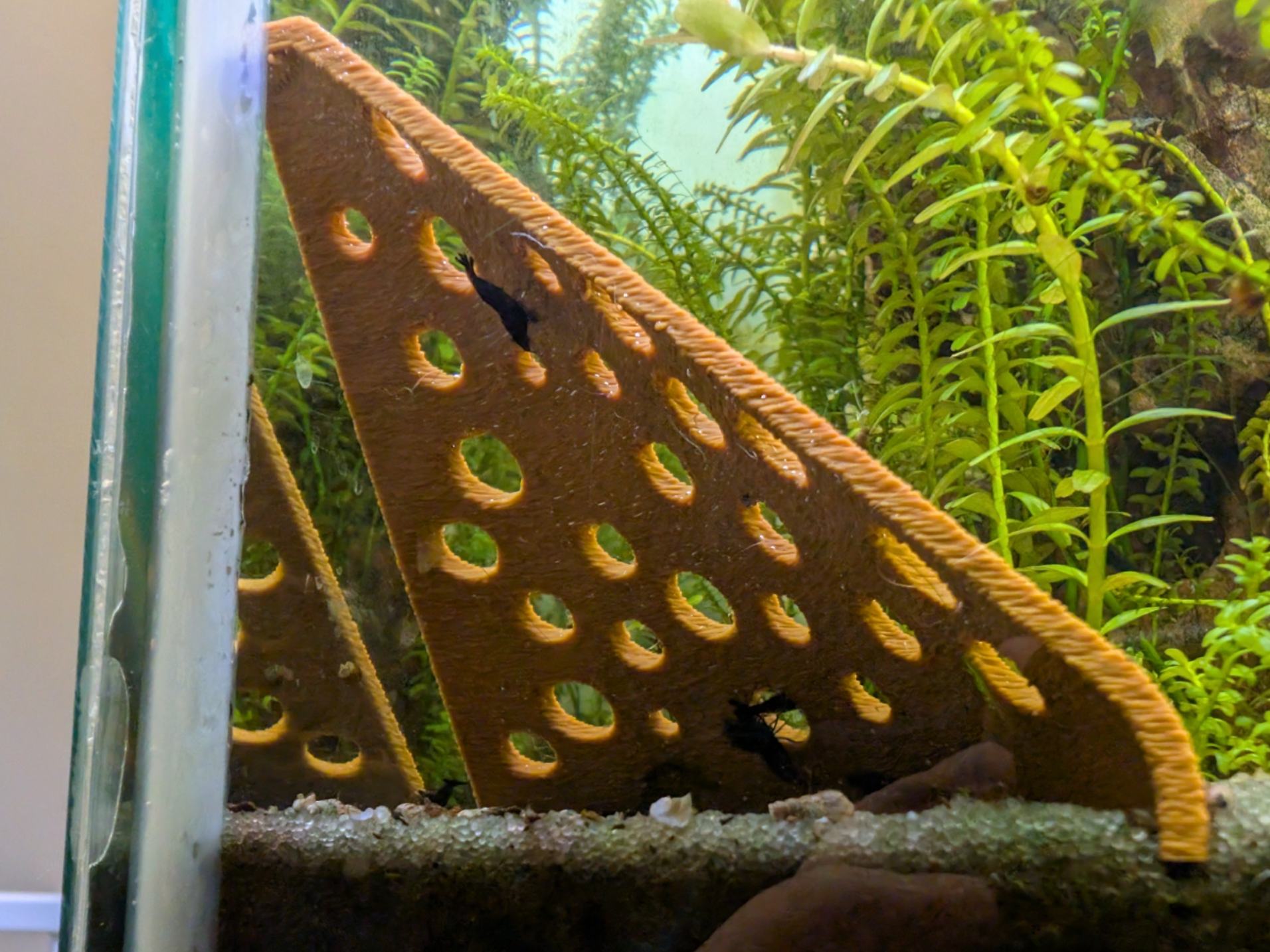 The Corner Cove - Aquarium Shrimp Hide