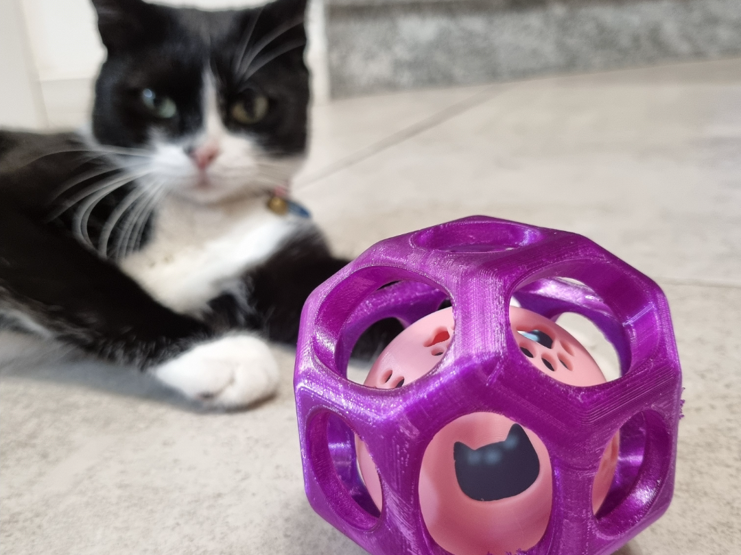 SnackPlay Cat
